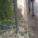 9d683f40-troxaio-dystyxima-Nikaia